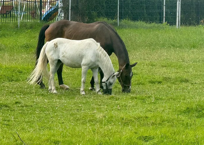 Casa de Férias U Joanny *
