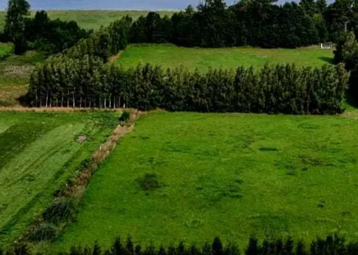 U Joanny Casa de Férias